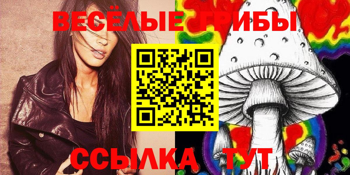 Великий Новгород  Псилоцибиновые грибы MAGIC MUSHROOMS  наркота  Вход с VPN 