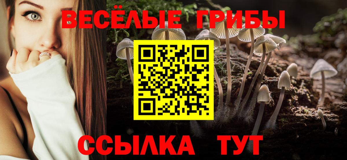 Псилоцибиновые грибы GOLDEN TEACHER Великий Новгород